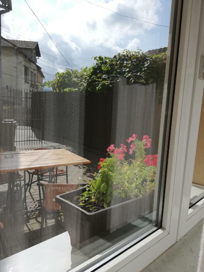 סיגישוארה Vintage Apartment - Ultracentral, 2 Dormitoare מראה חיצוני תמונה